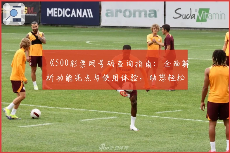 《500彩票网号码查询指南：全面解析功能亮点与使用体验，助您轻松掌握核心技巧》