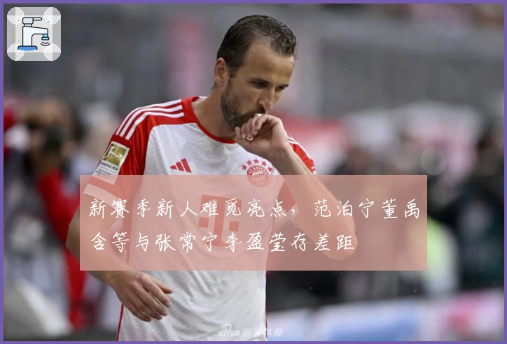 新赛季新人难觅亮点，范泊宁董禹含等与张常宁李盈莹存差距