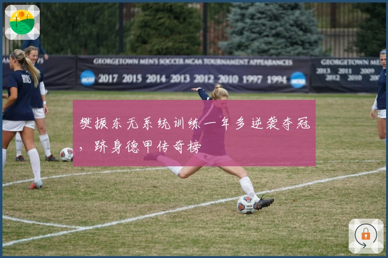 樊振东无系统训练一年多逆袭夺冠，跻身德甲传奇榜