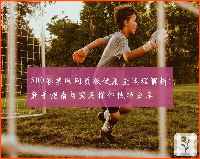 500彩票网网页版使用全流程解析：新手指南与实用操作技巧分享