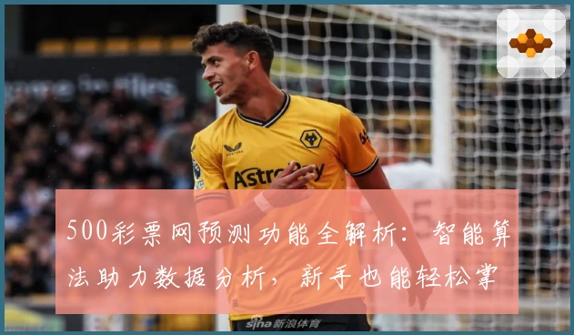 500彩票网预测功能全解析：智能算法助力数据分析，新手也能轻松掌握